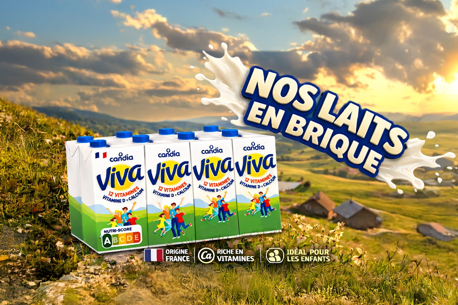 Briques de lait