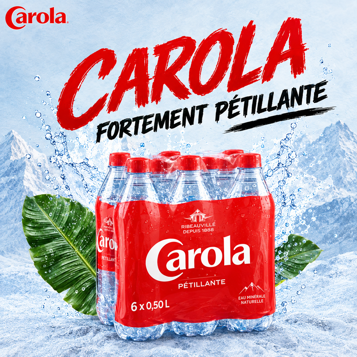 Carola Rouge 0.50cl