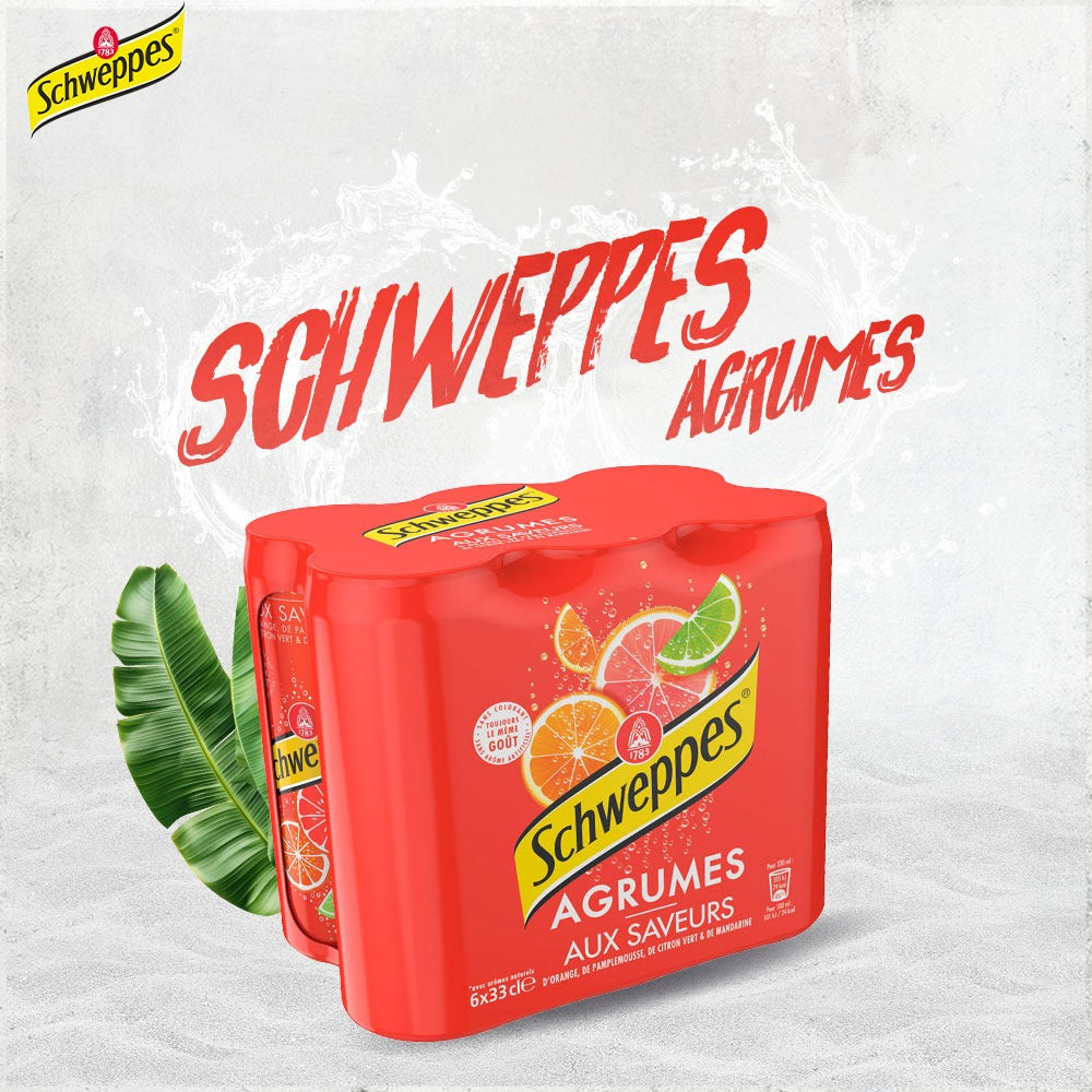 Schweppes Agrumes x6